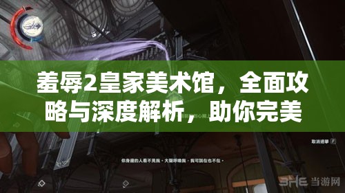 羞辱2皇家美术馆，全面攻略与深度解析，助你完美收集所有情报