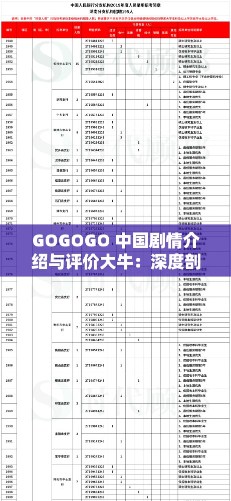 GOGOGO 中国剧情介绍与评价大牛：深度剖析精彩剧情