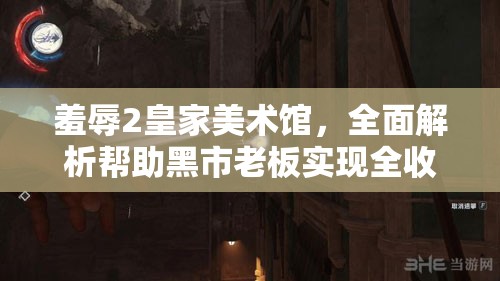 羞辱2皇家美术馆，全面解析帮助黑市老板实现全收集攻略