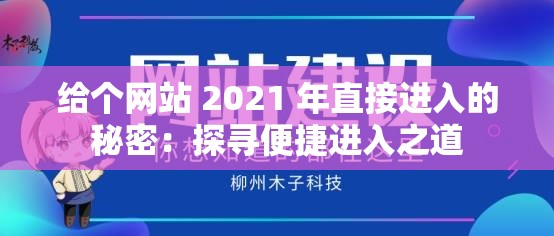 给个网站 2021 年直接进入的秘密：探寻便捷进入之道