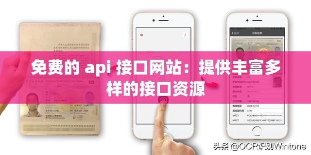 免费的 api 接口网站：提供丰富多样的接口资源