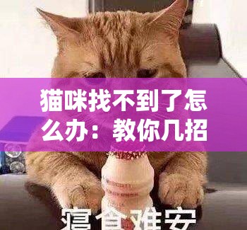 猫咪找不到了怎么办：教你几招快速寻回的有效方法