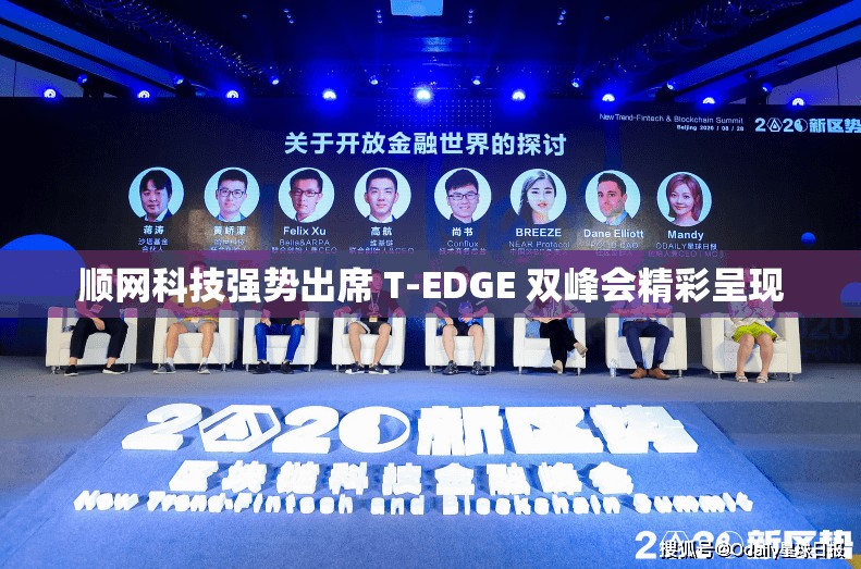 顺网科技强势出席 T-EDGE 双峰会精彩呈现