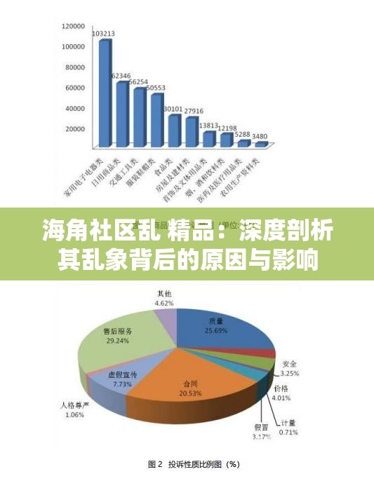 海角社区乱 精品：深度剖析其乱象背后的原因与影响