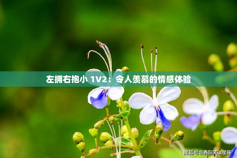 左拥右抱小 1V2：令人羡慕的情感体验