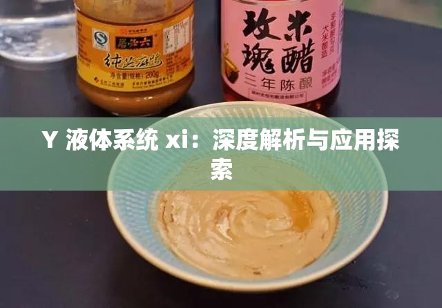 Y 液体系统 xi：深度解析与应用探索