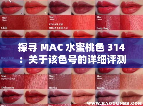 探寻 MAC 水蜜桃色 314：关于该色号的详细评测与使用心得分享