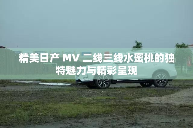 精美日产 MV 二线三线水蜜桃的独特魅力与精彩呈现