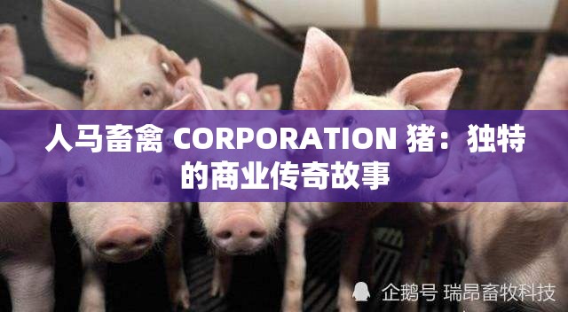 人马畜禽 CORPORATION 猪：独特的商业传奇故事