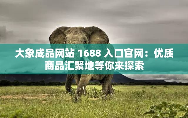 大象成品网站 1688 入口官网：优质商品汇聚地等你来探索