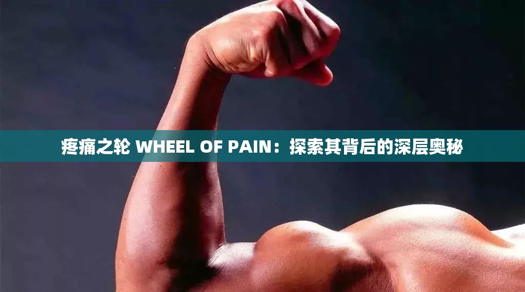 疼痛之轮 WHEEL OF PAIN：探索其背后的深层奥秘