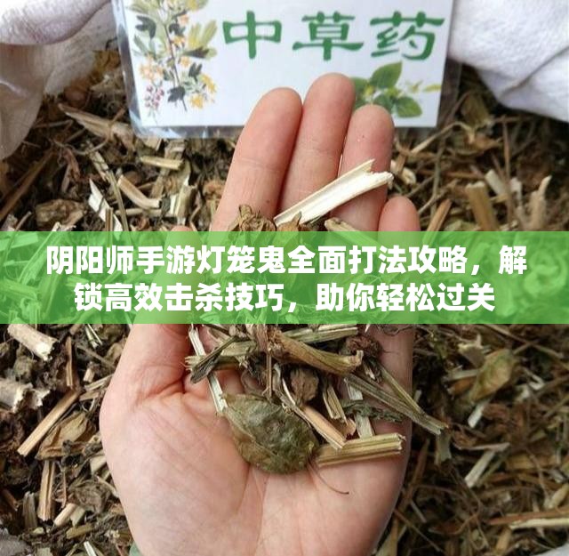 阴阳师手游灯笼鬼全面打法攻略，解锁高效击杀技巧，助你轻松过关