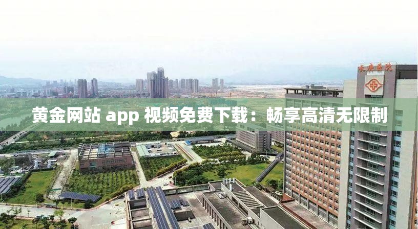 黄金网站 app 视频免费下载：畅享高清无限制