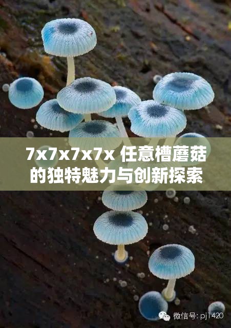 7x7x7x7x 任意槽蘑菇的独特魅力与创新探索