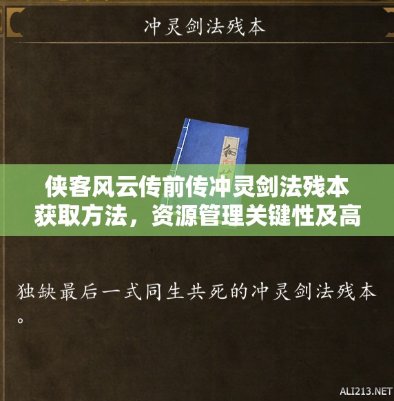 侠客风云传前传冲灵剑法残本获取方法，资源管理关键性及高效策略解析