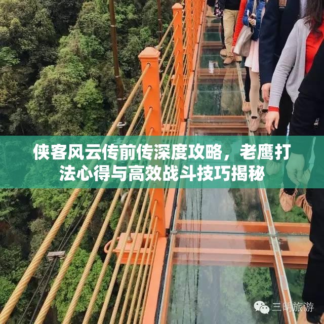 侠客风云传前传深度攻略，老鹰打法心得与高效战斗技巧揭秘