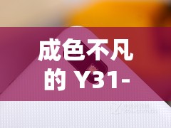 成色不凡的 Y31- 带你领略非凡性能与独特魅力