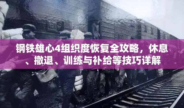 钢铁雄心4组织度恢复全攻略，休息、撤退、训练与补给等技巧详解