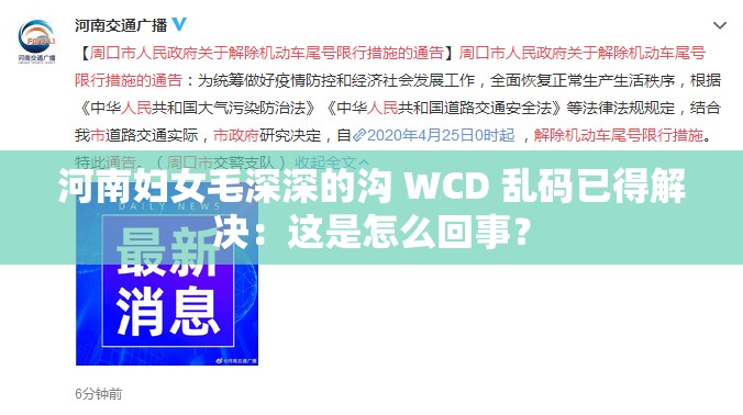 河南妇女毛深深的沟 WCD 乱码已得解决：这是怎么回事？