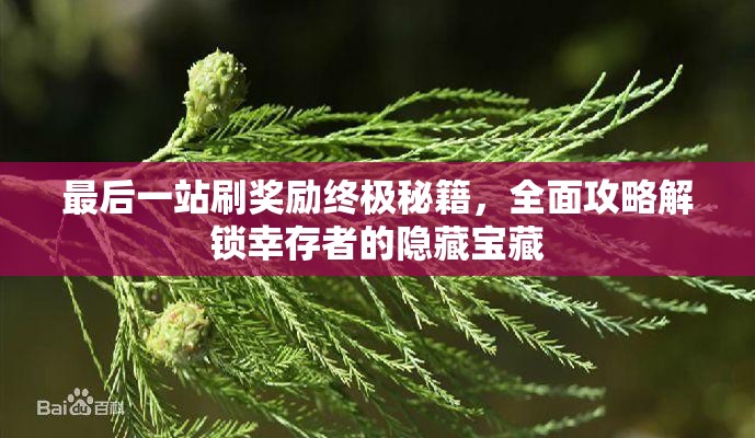 最后一站刷奖励终极秘籍，全面攻略解锁幸存者的隐藏宝藏