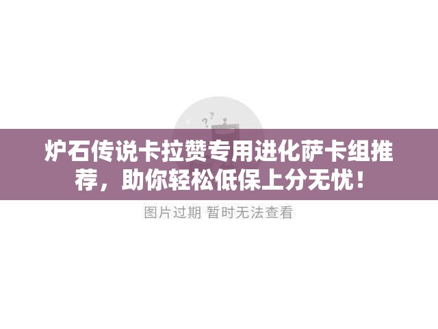 炉石传说卡拉赞专用进化萨卡组推荐，助你轻松低保上分无忧！