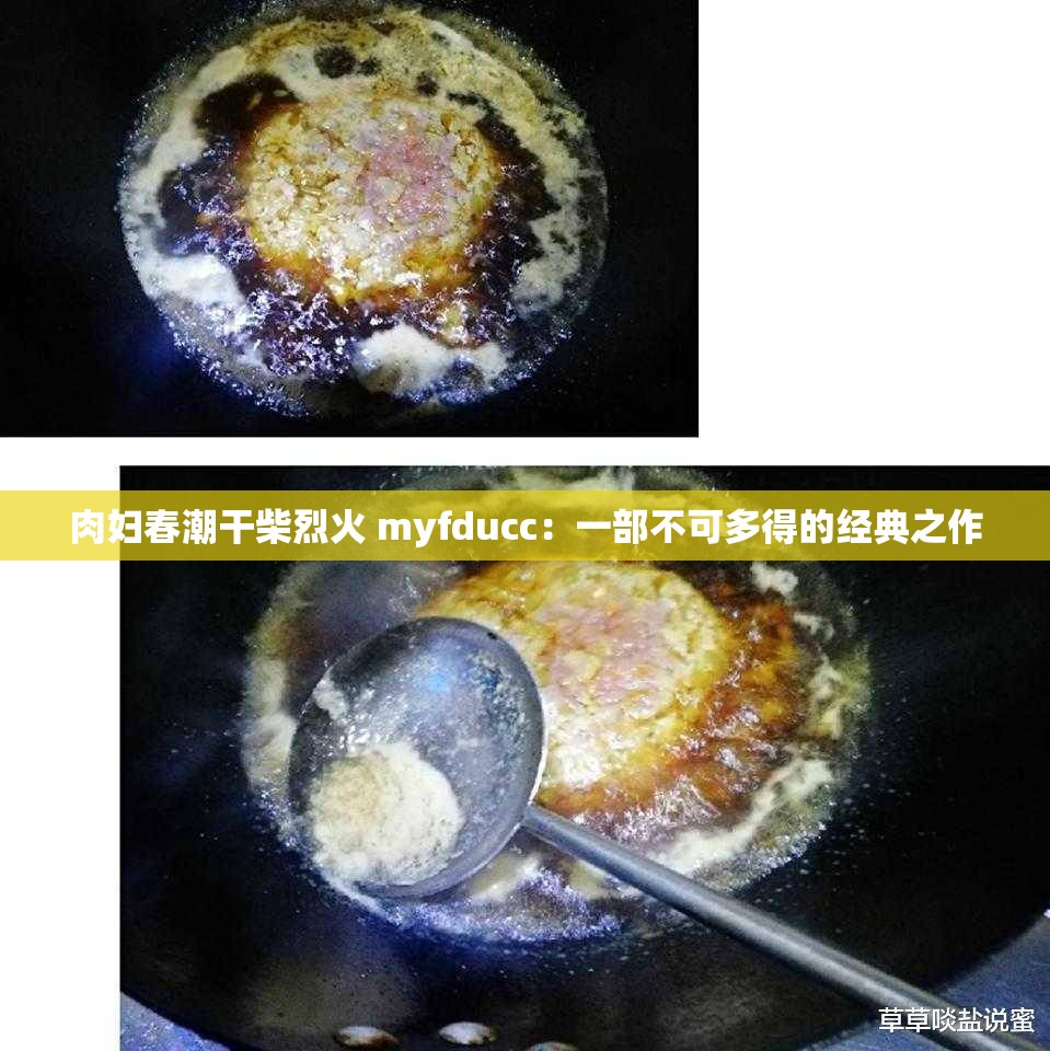 肉妇春潮干柴烈火 myfducc：一部不可多得的经典之作