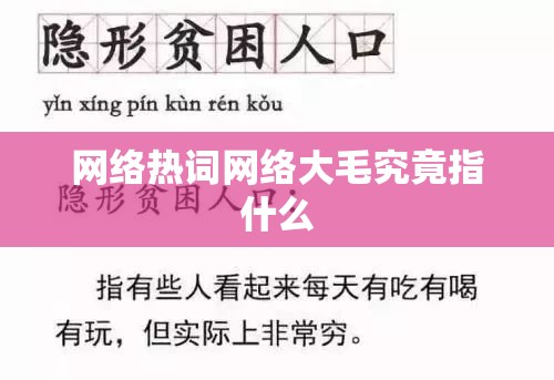 网络热词网络大毛究竟指什么