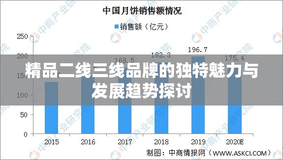 精品二线三线品牌的独特魅力与发展趋势探讨