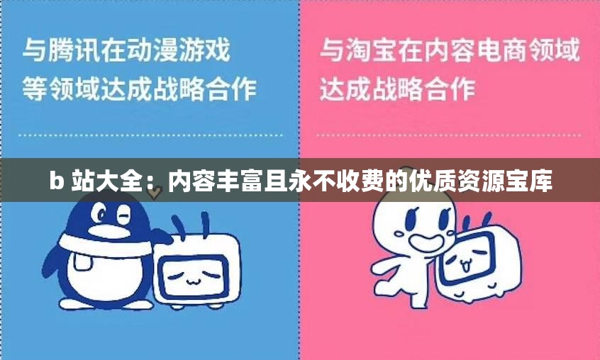 b 站大全：内容丰富且永不收费的优质资源宝库