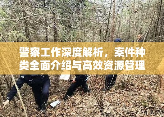 警察工作深度解析，案件种类全面介绍与高效资源管理艺术探索