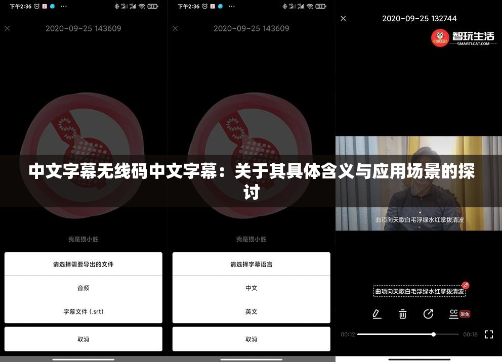 中文字幕无线码中文字幕：关于其具体含义与应用场景的探讨