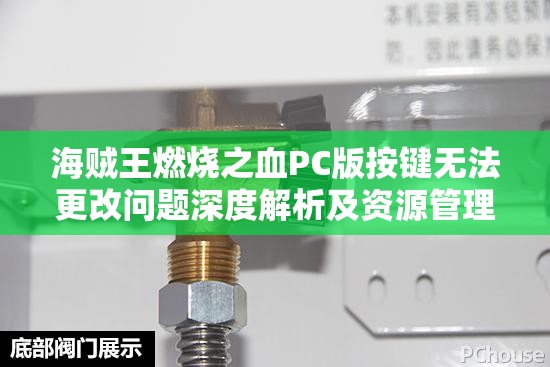 海贼王燃烧之血PC版按键无法更改问题深度解析及资源管理优化指南