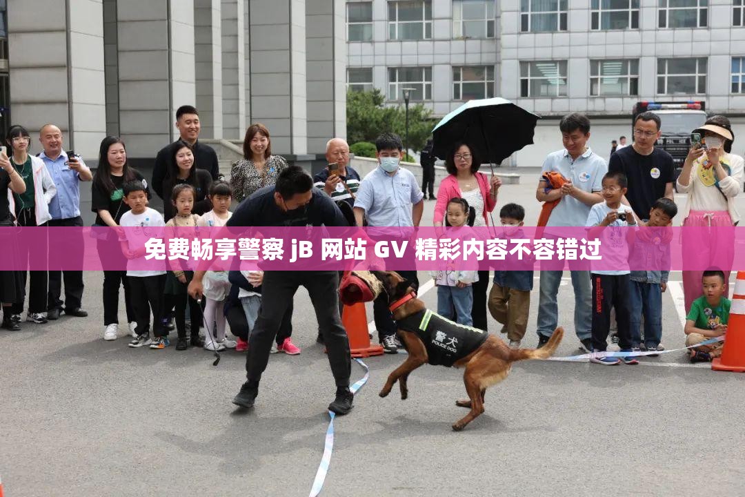 免费畅享警察 jB 网站 GV 精彩内容不容错过