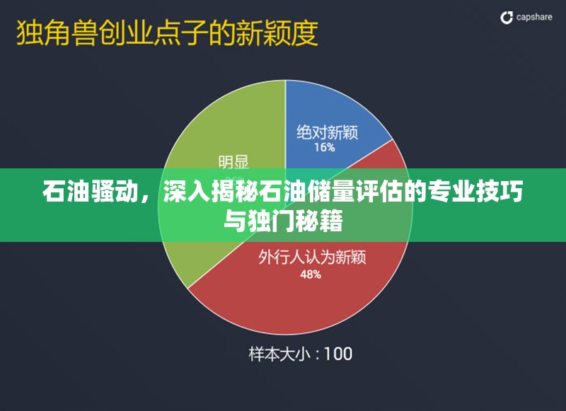 石油骚动，深入揭秘石油储量评估的专业技巧与独门秘籍