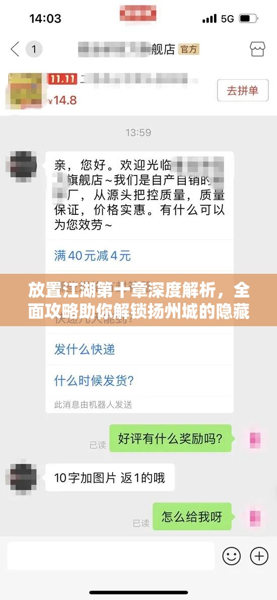 放置江湖第十章深度解析，全面攻略助你解锁扬州城的隐藏秘密