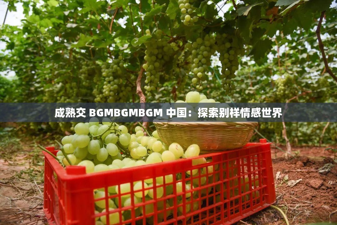 成熟交 BGMBGMBGM 中国：探索别样情感世界