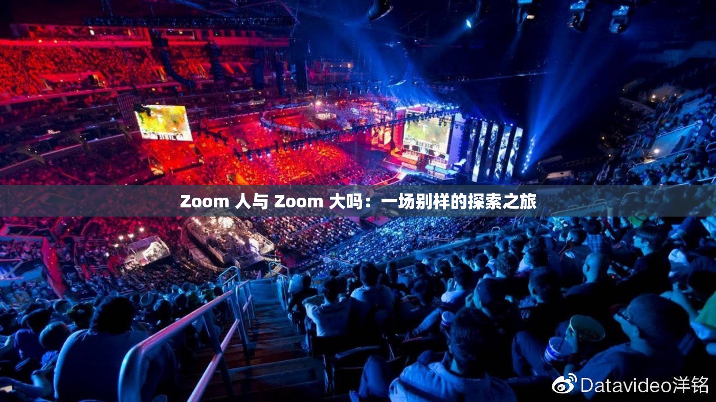 Zoom 人与 Zoom 大吗：一场别样的探索之旅