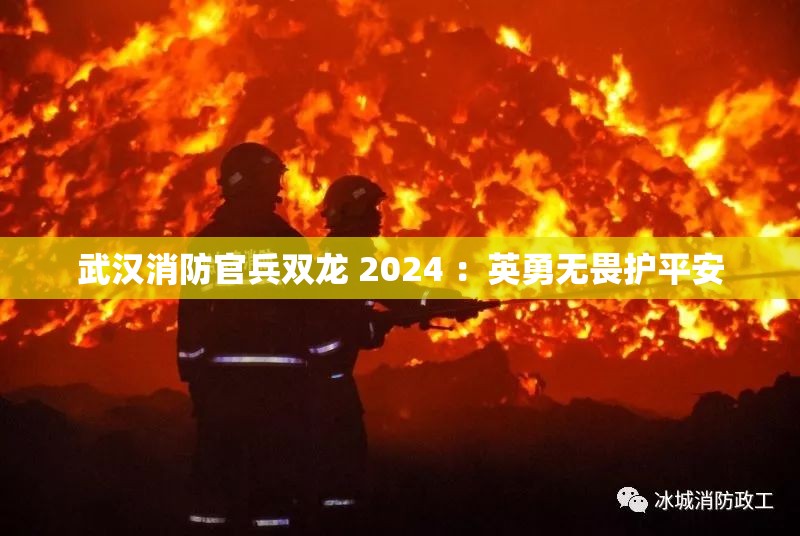 武汉消防官兵双龙 2024 ：英勇无畏护平安