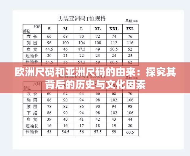 欧洲尺码和亚洲尺码的由来：探究其背后的历史与文化因素