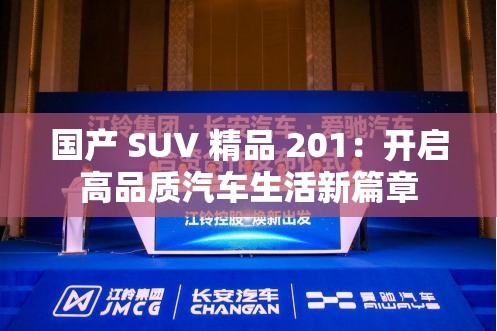 国产 SUV 精品 201：开启高品质汽车生活新篇章