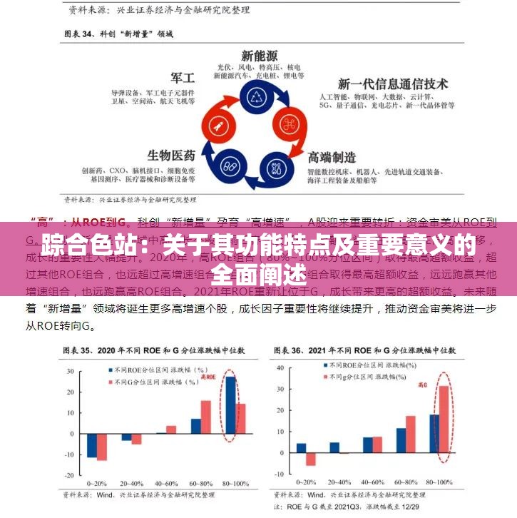 踪合色站：关于其功能特点及重要意义的全面阐述