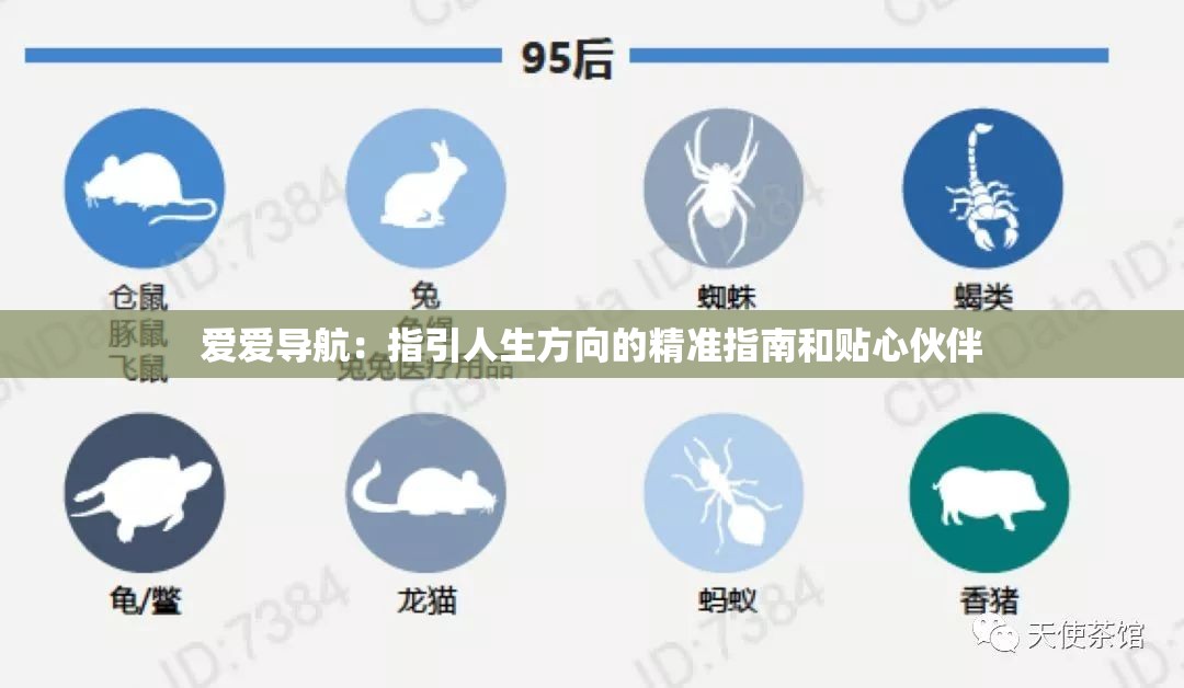 爱爱导航：指引人生方向的精准指南和贴心伙伴