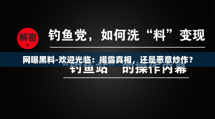 网曝黑料-欢迎光临：揭露真相，还是恶意炒作？