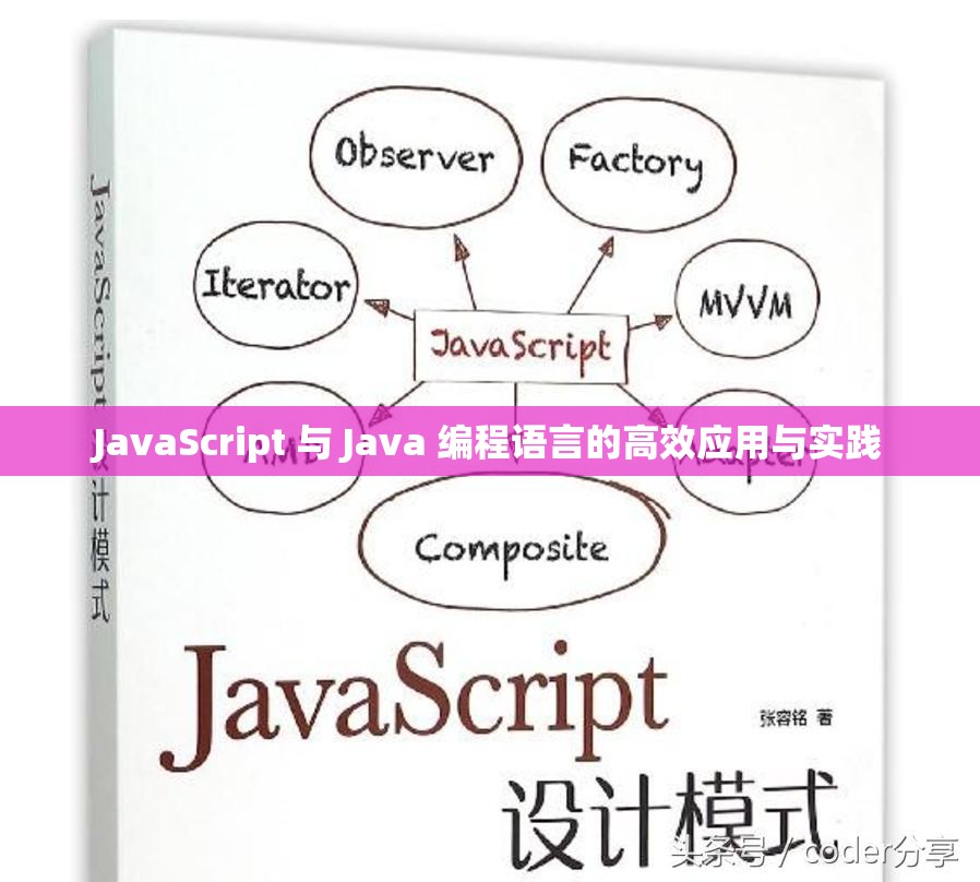 JavaScript 与 Java 编程语言的高效应用与实践