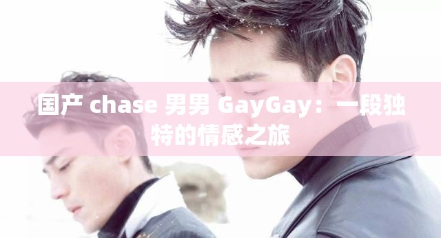 国产 chase 男男 GayGay：一段独特的情感之旅