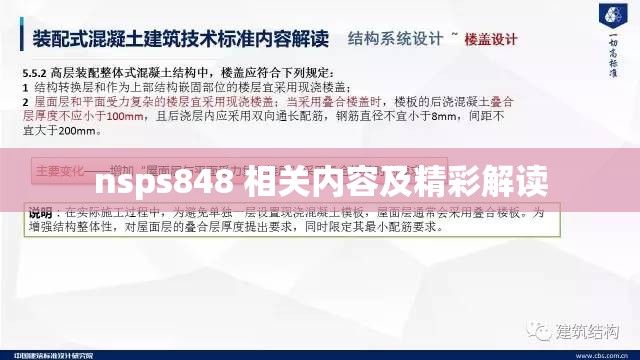 nsps848 相关内容及精彩解读