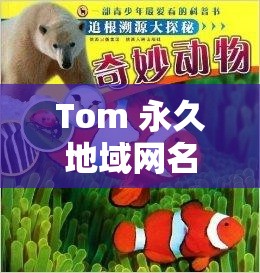 Tom 永久地域网名的奇妙之旅：探索其独特世界