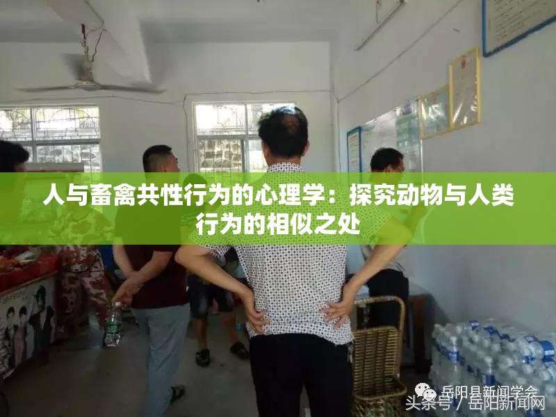 人与畜禽共性行为的心理学：探究动物与人类行为的相似之处