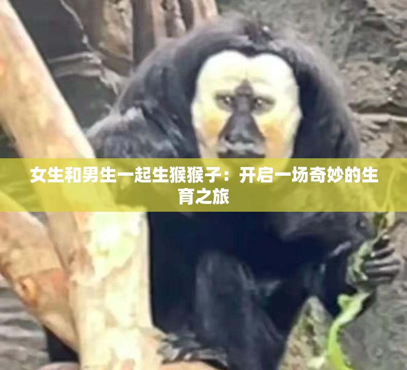 女生和男生一起生猴猴子：开启一场奇妙的生育之旅