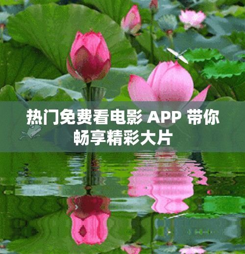 热门免费看电影 APP 带你畅享精彩大片